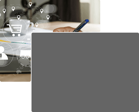 Project & Delivery Management