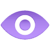Result Icon